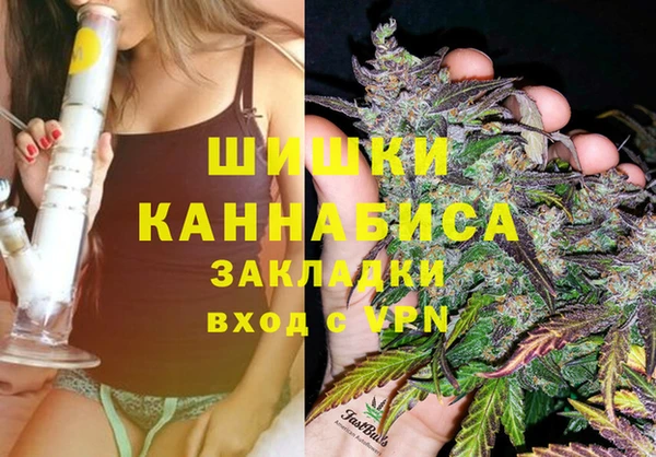 соль ск Осташков