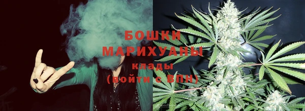 трава Осинники