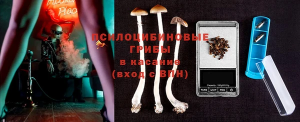 трава Абаза